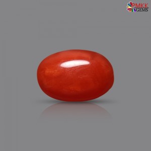 Italian Red Coral 3.53 cts