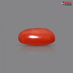 Italian Red Coral 3.53 cts