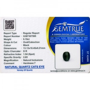 Natural Black Quartz Cat's Eye