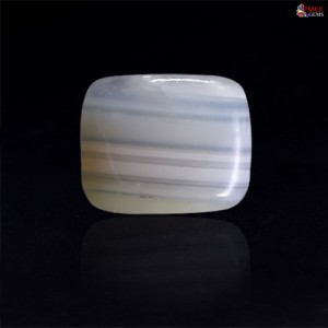 Lace Agate Stone 33.39 Carat
