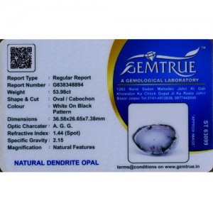 Dendrite Opal 53.98 Carat 