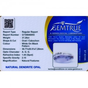 Dendrite Opal 37.26 Carat 