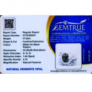 Dendrite Opal 37.92 Carat 