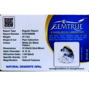 Dendrite Opal 47.73 Carat 