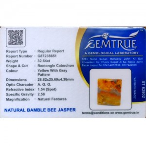 Bumblebee Jasper Stone 32.64 Carat