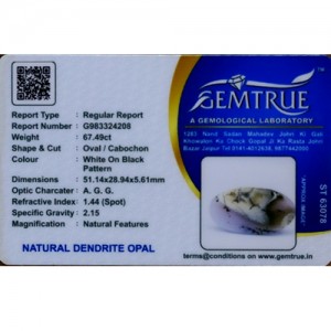Dendrite Opal 67.49 Carat 