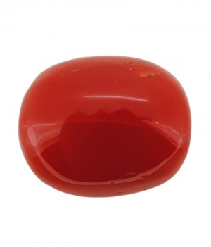 Italian Red Coral