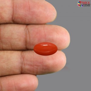 Japanese Red Coral Stone 6.45  Carat