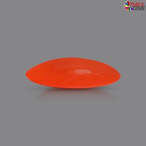 Japanese Red Coral (Pavalam Stone) 10.17   Carat