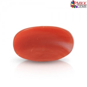 Japanese Red Coral Stone 5.31 Carat