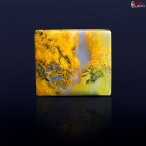 Bumble Bee jasper Stone