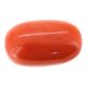 Italian Red Coral