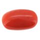 Italian Red Coral