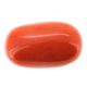 Italian Red Coral