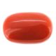 Italian Red Coral 