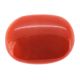 Italian Red Coral