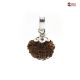 Natural Nepali 11 Mukhi Rudraksha