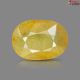 Bangkok Yellow Sapphire 4.52 Carats