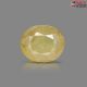 Bangkok Yellow Sapphire 5.32 Carats