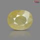 Bangkok Yellow Sapphire  5.79 Carats
