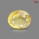 Bangkok Yellow Sapphire  3.28 Carats
