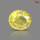 Bangkok Yellow Sapphire 3.56 Carats