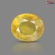 Bangkok Yellow Sapphire  3.00 Carats