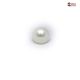 Pearl Gemstone