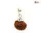 Natural Nepali 12 Mukhi Rudraksha