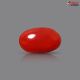 Italian Red Coral 3.14 cts