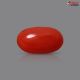 Italian Red Coral 2.33 cts