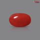 Italian Red Coral 2.51 cts