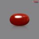 Italian Red Coral 2.76 cts