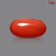 Italian Red Coral 3.08 cts