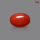 Italian Red Coral 3.53 cts