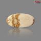 Picture Jasper 28.35 Carat