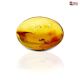 Natural Amber 