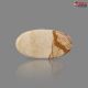Picture Jasper 26.25 Carat
