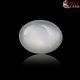 White Moon Stone 3.84 Carat 