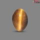 Tiger Eye Stone 6.60 Carat