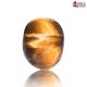 Tiger Eye Stone 5.71 Carat