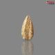 Picture Jasper 25.91 Carat
