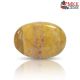Ocean Jasper Stone 37.94 Carat