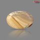 Picture Jasper 48.17 Carat