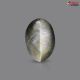 Black Quartz Cat's Eye 7.73 Carats