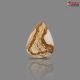 Picture Jasper 23.84 Carat