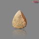 Picture Jasper 25.12 Carat