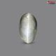 Black Quartz Cat's Eye 9.93 Carats