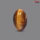 Tiger Eye Stone 5.48 Carat