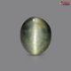 Black Quartz Cat's Eye 10.45 Carats